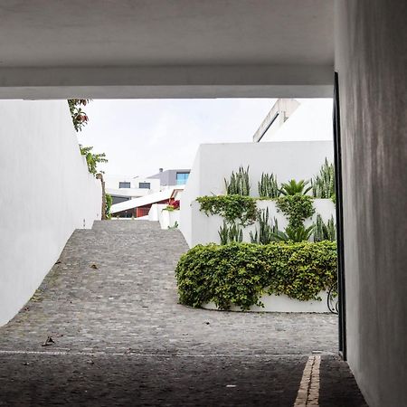 Sao Miguel Charming House By Lfc Apts ポンタ・デルガダ エクステリア 写真